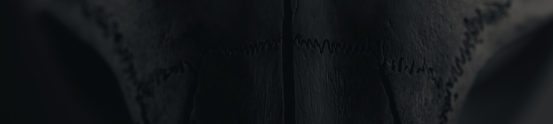 &nbsp;